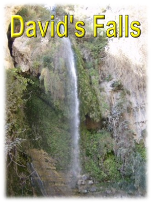 davids_falls