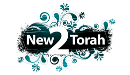 new 2 torah logo
