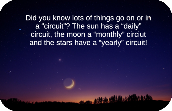 ecc 1 circuit