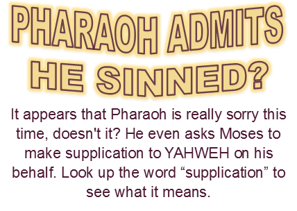 pharaoh_admits