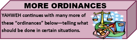 more_ordinances