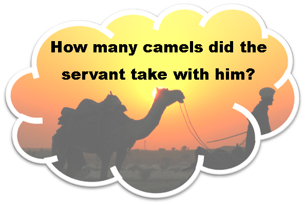 camel