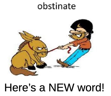hos 11 obstinate