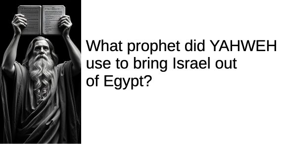 hos 12 prophet