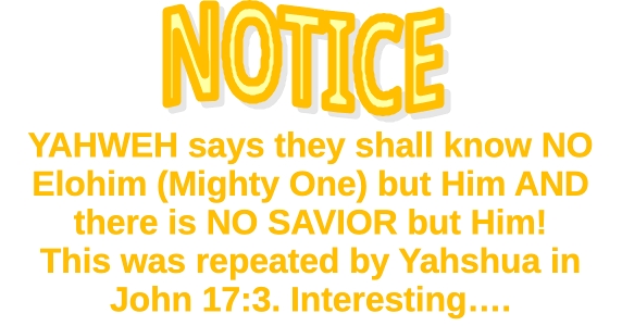 hos 13 one