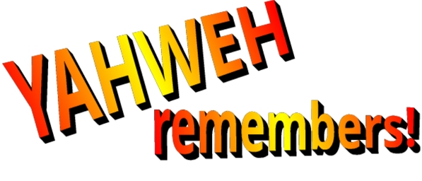 hos 7 remembers