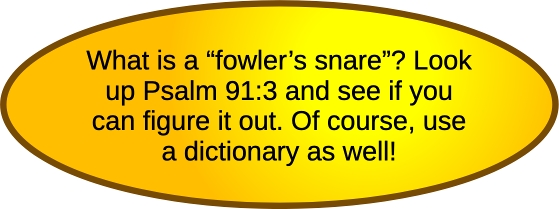 hos 9 fowler