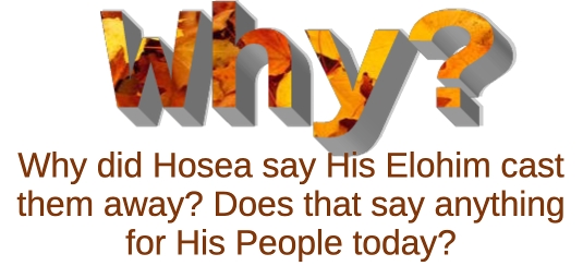 hos 9 why