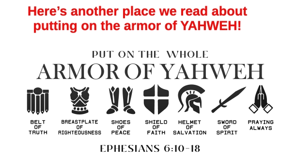 isa 59 armor