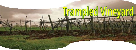 isa 5 trampled