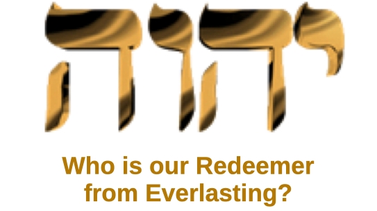 isa 63 redeemer