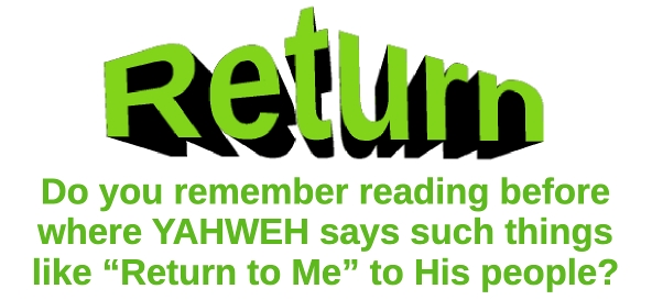 joel 2 return