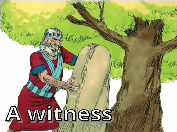 witness