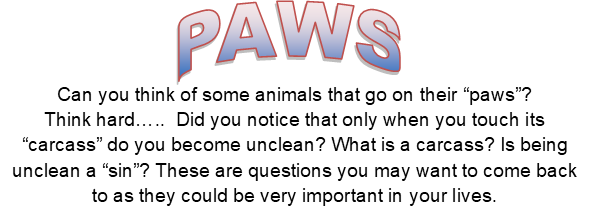 paws