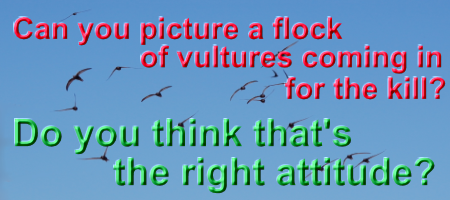 vultures