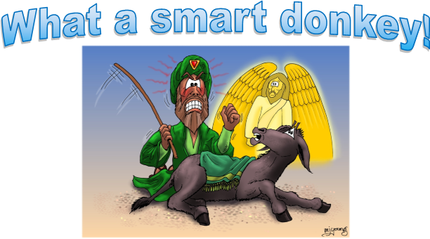 smart_donkey
