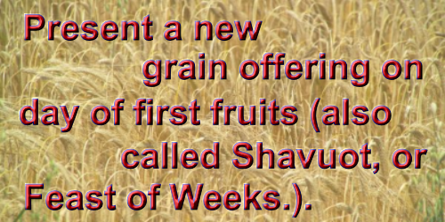 shavuot