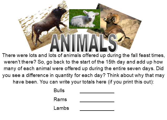 animals