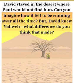 david-desert
